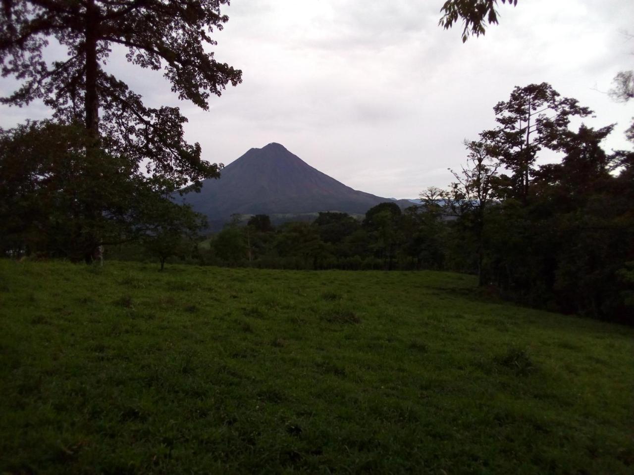 Casas De Campo Las Pavitas Cottages "Red Frog" Palma (Alajuela) Exterior foto